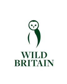 Barn owl logo for Wild Britain