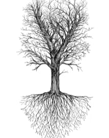 Tree and roots illustration